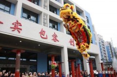 醒狮贺岁，开云网页版·开云页面官方网站-开云(中国)2019年开工大吉